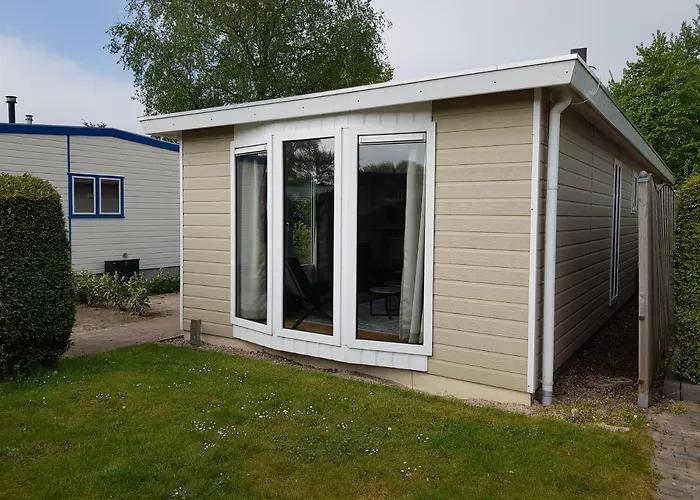 De Bijsselse Enk, Goudsbloem *