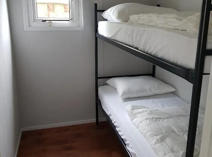 Chalet De Bijsselse Enk, Goudsbloem *