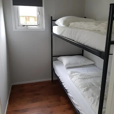 Chalet De Bijsselse Enk, Goudsbloem *